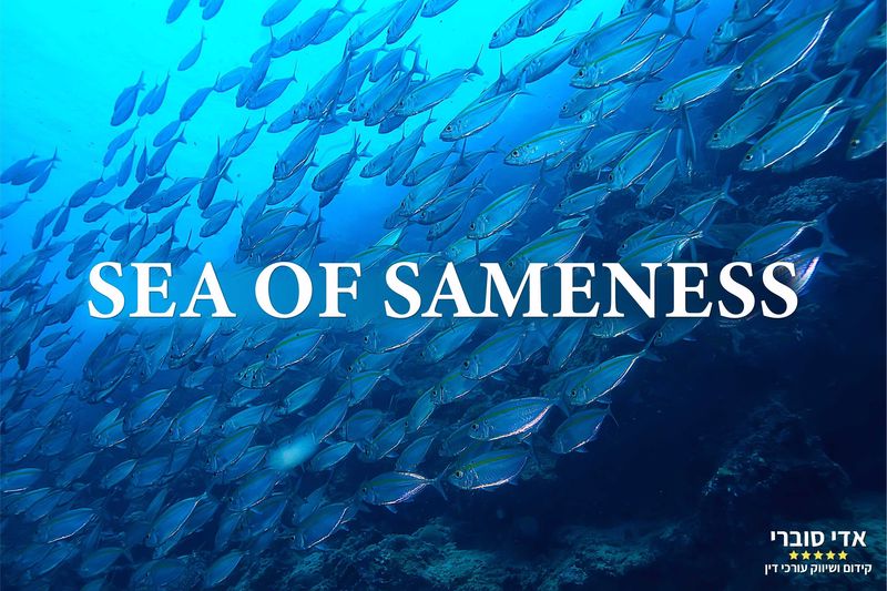 בעידן דיגיטלי של SEA OF SAMENESS - האתגר הגדול הוא לְחַדֵּשׁ