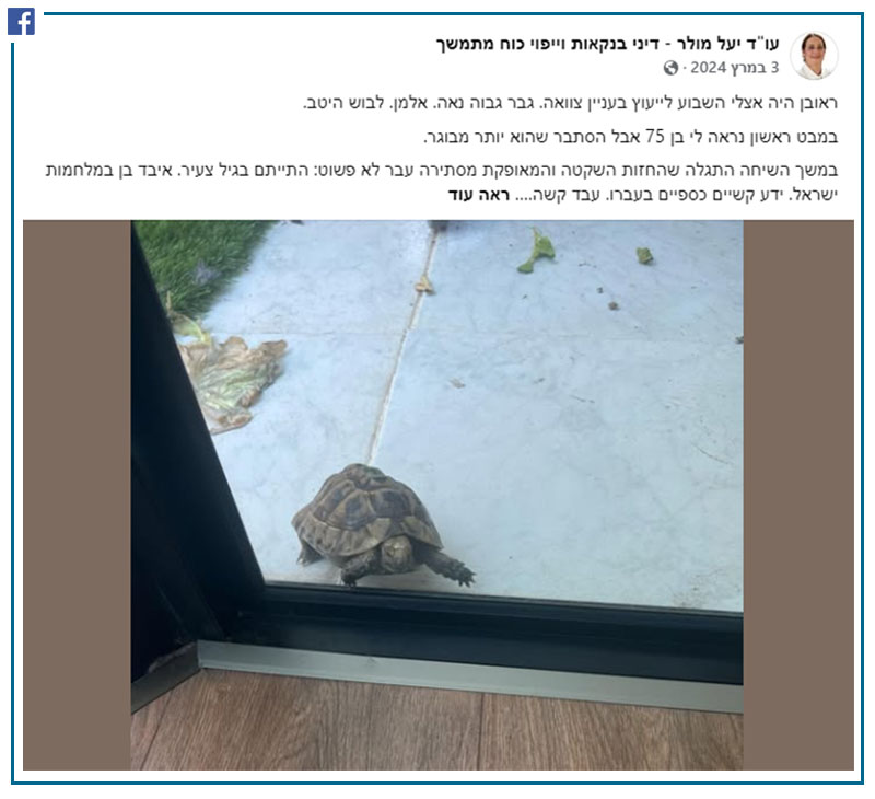 אומנות הסיפור (עו"ד יעל מולר)